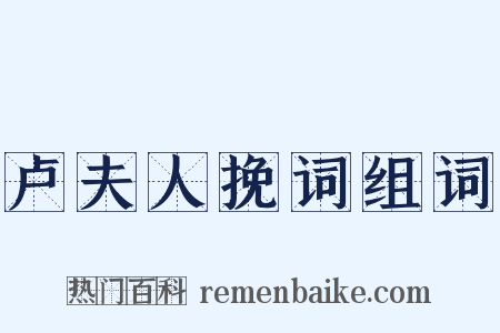 卢夫人挽词组词是什么意思的图片